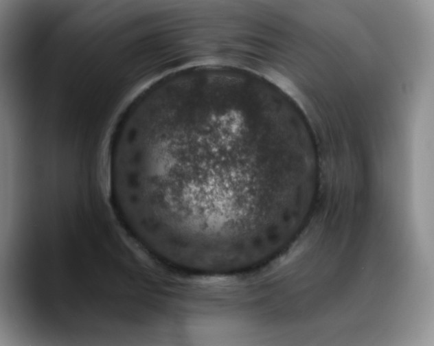 X0000090731127200707201403