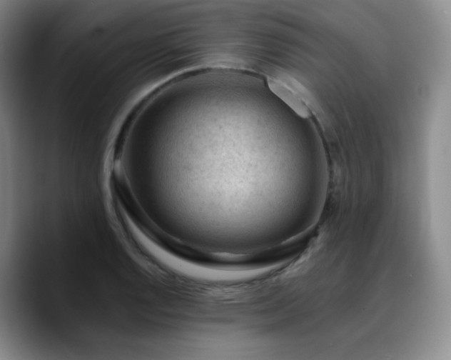 X0000090731128200707201403