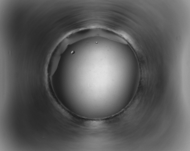 X0000090731134200707201403