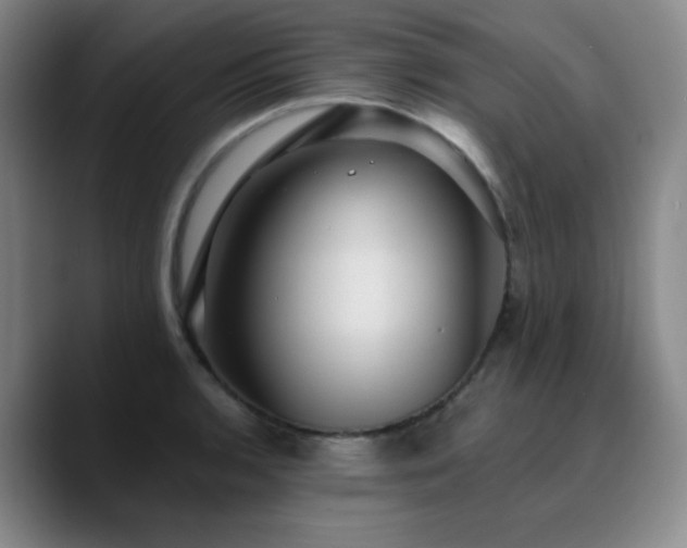 X0000090731136200707201403