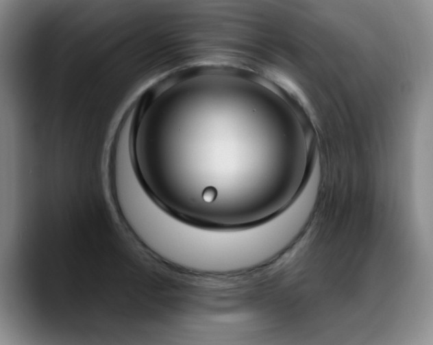 X0000090731138200707201403