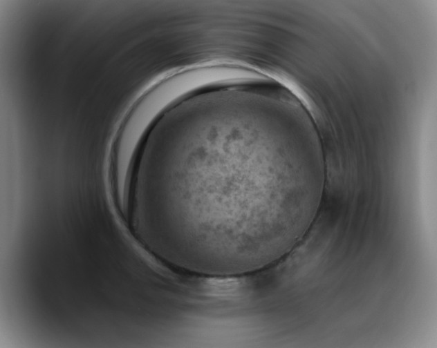 X0000090731142200707201403