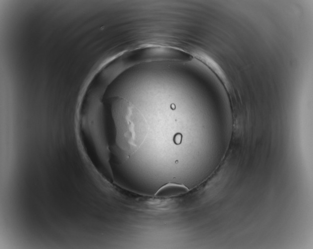 X0000090731146200707201403