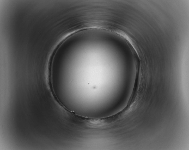 X0000090731147200707201403