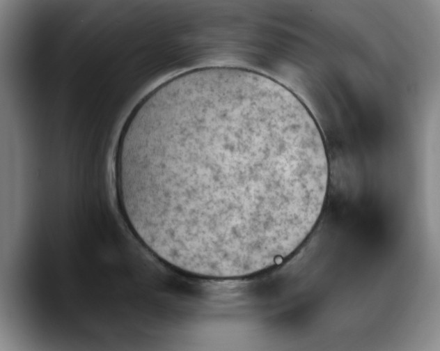 X0000090731150200707201403
