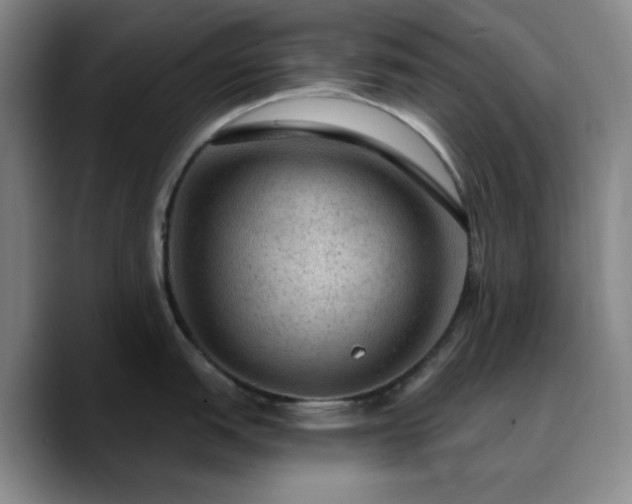 X0000090731151200707201403