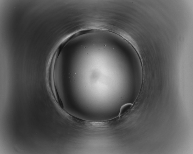 X0000090731152200707201403