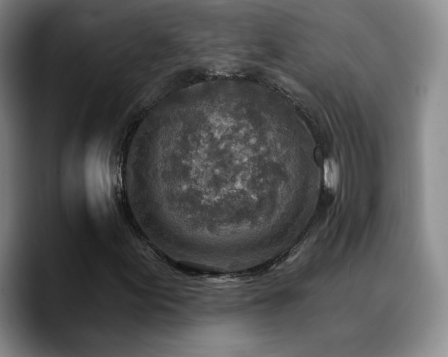 X0000090731155200707201403