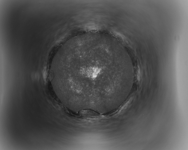 X0000090731157200707201403