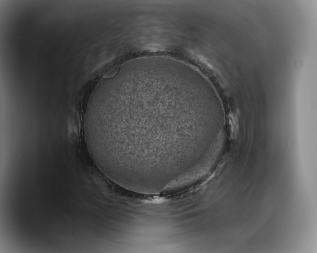 X0000090731158200707201403