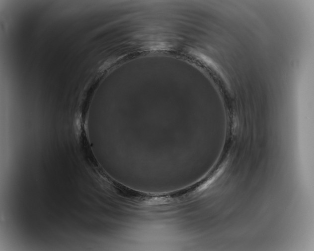 X0000090731161200707201403