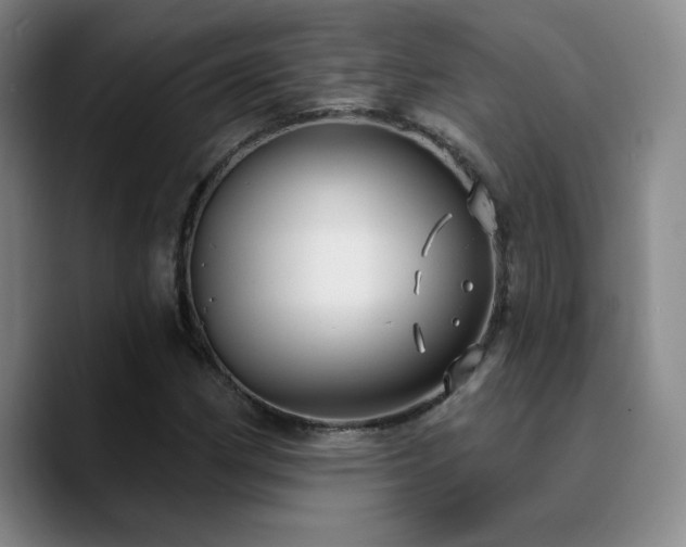 X0000090731162200707201403