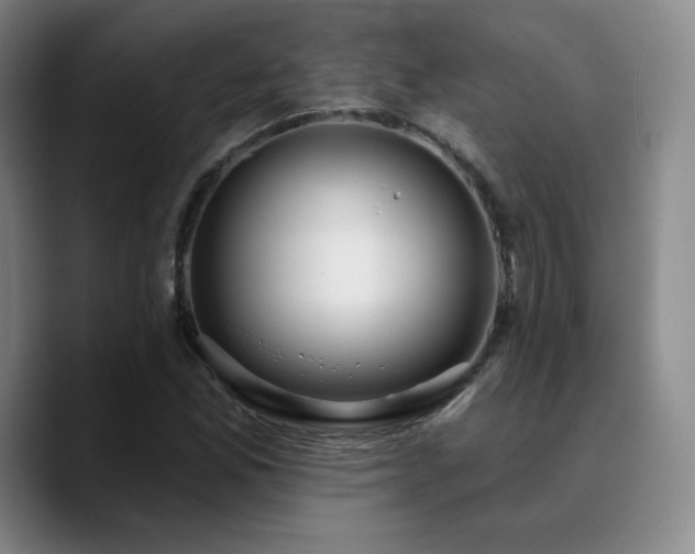 X0000090731165200707201403
