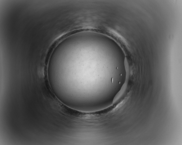 X0000090731166200707201403