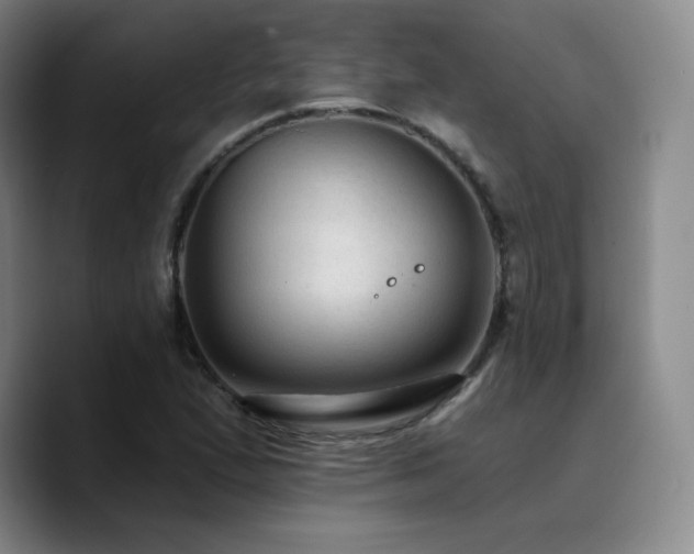 X0000090731167200707201403