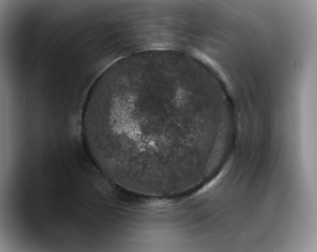 X0000090731170200707201403