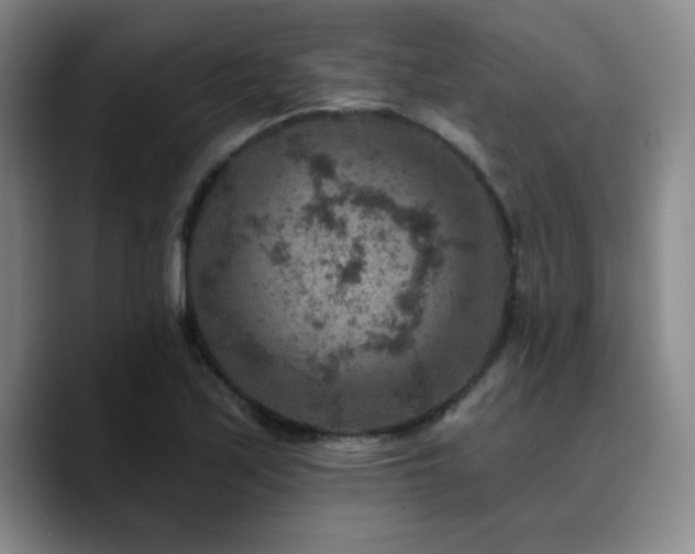 X0000090731171200707201403
