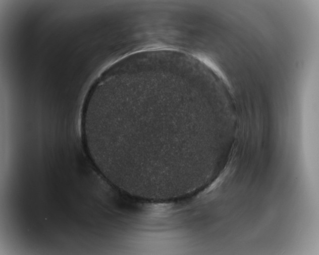 X0000090731173200707201403