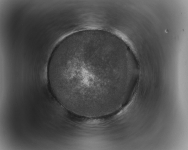 X0000090731174200707201403