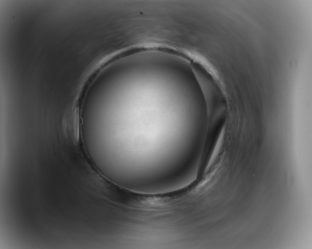 X0000090731175200707201403