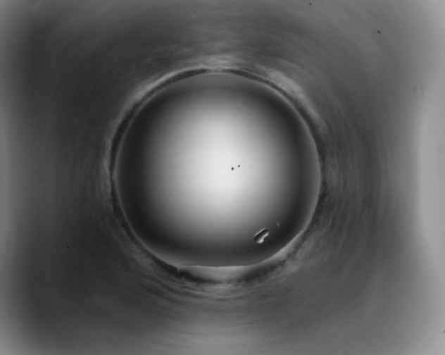 X0000090731176200707201403