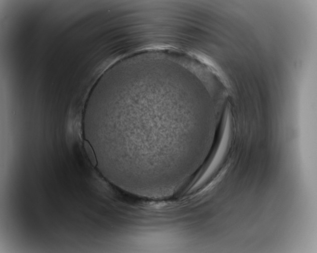 X0000090731177200707201403