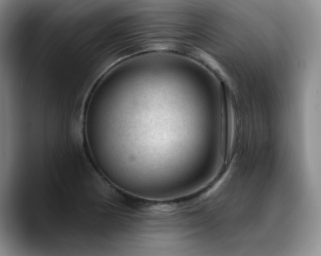X0000090731178200707201403