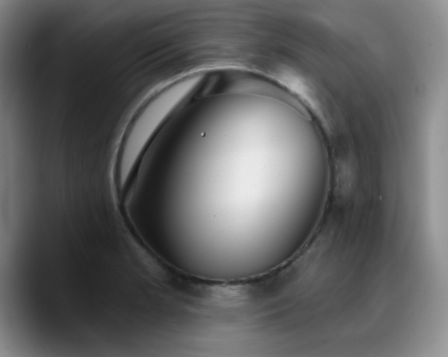X0000090731181200707201402