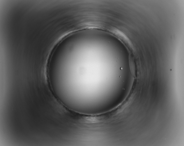 X0000090731182200707201402