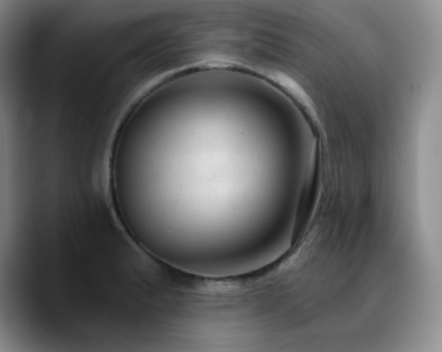 X0000090731183200707201402