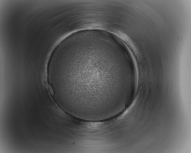 X0000090731184200707201402