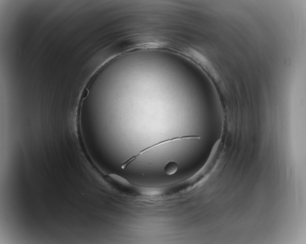 X0000090731186200707201402