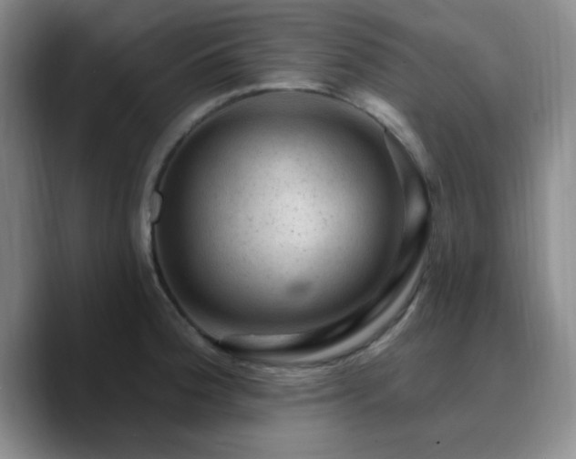 X0000090731188200707201402