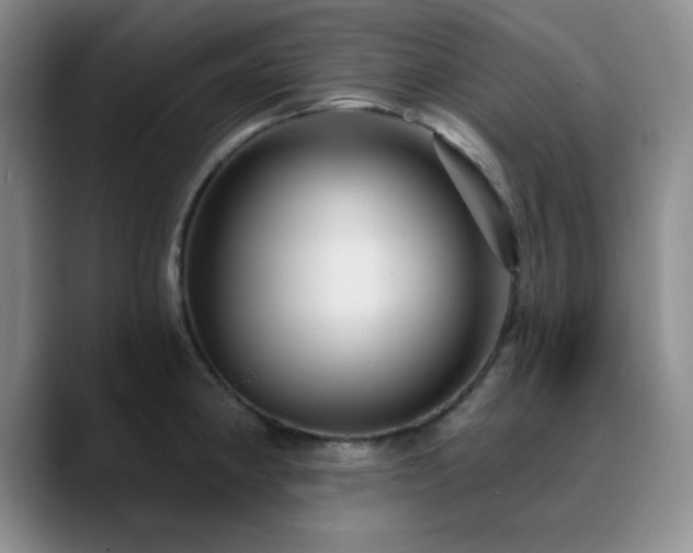 X0000090731190200707201402