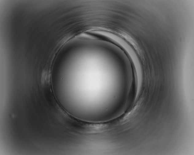 X0000090731193200707201402