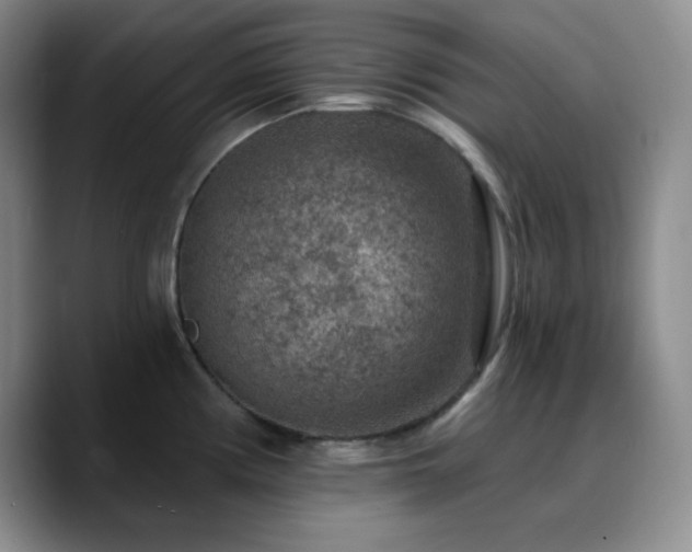 X0000090731194200707201402