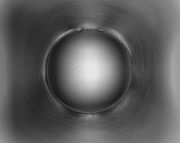 X0000090731195200707201402