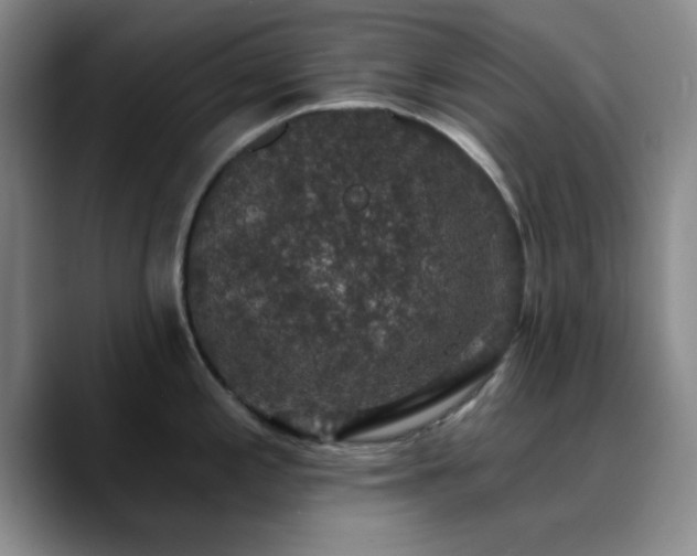 X0000090731197200707201402