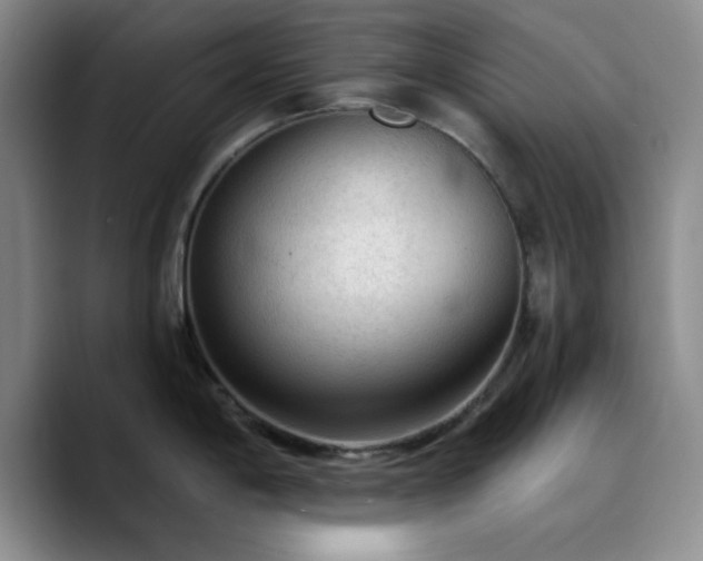 X0000090731198200707201402