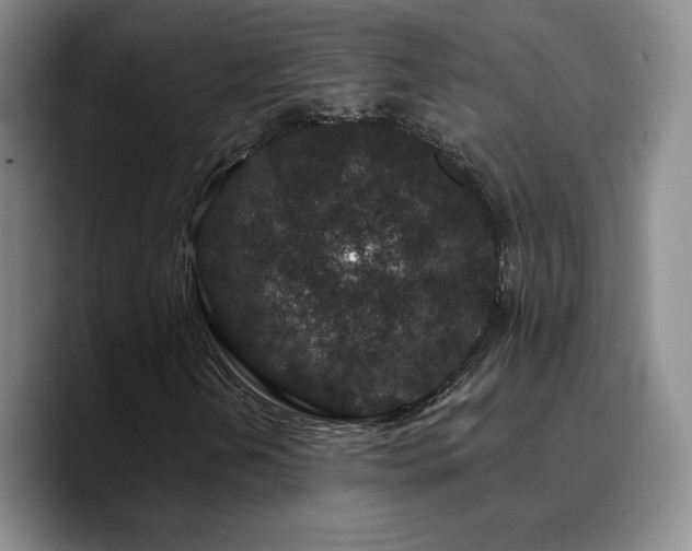 X0000090731202200707201402