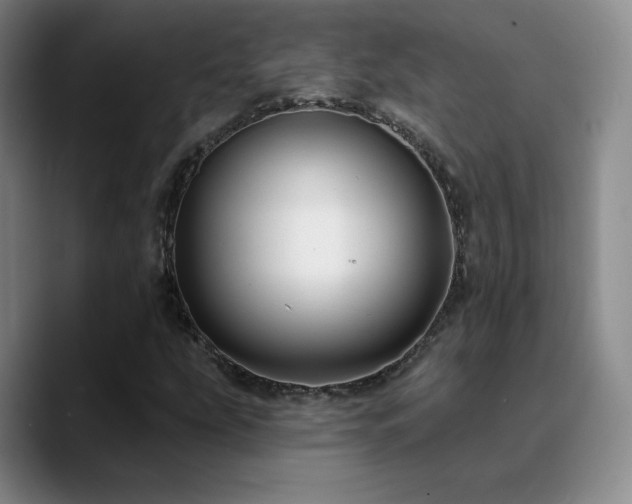 X0000090731207200707201402