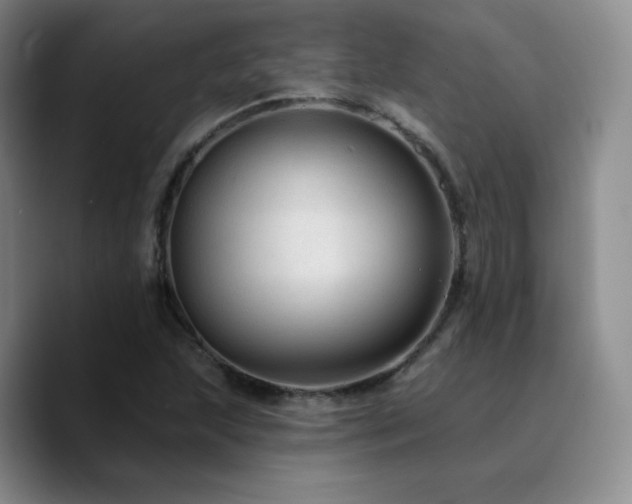 X0000090731215200707201402