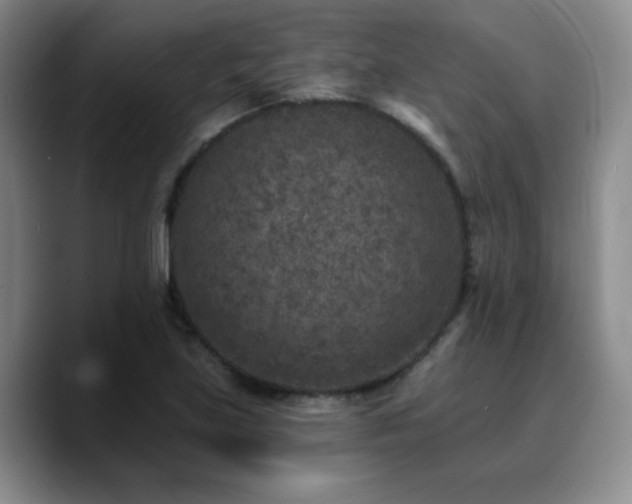 X0000090731219200707201402