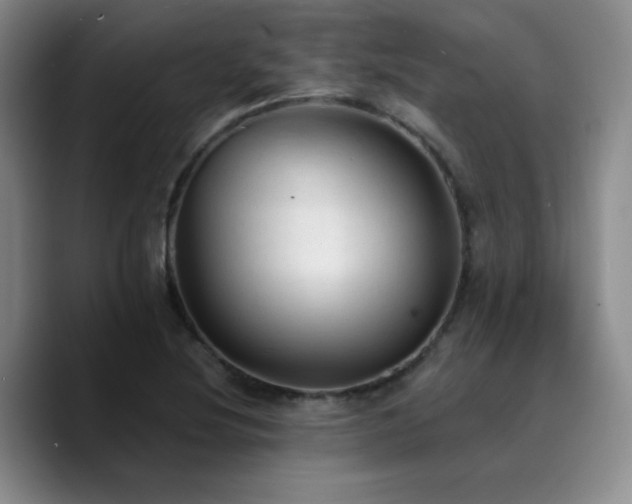 X0000090731220200707201402