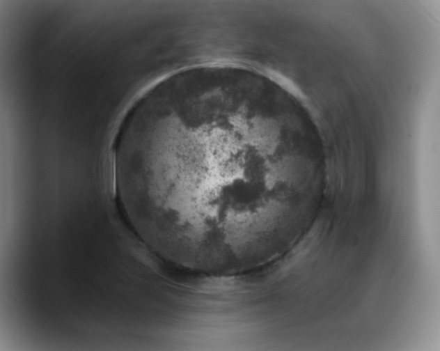 X0000090731223200707201402