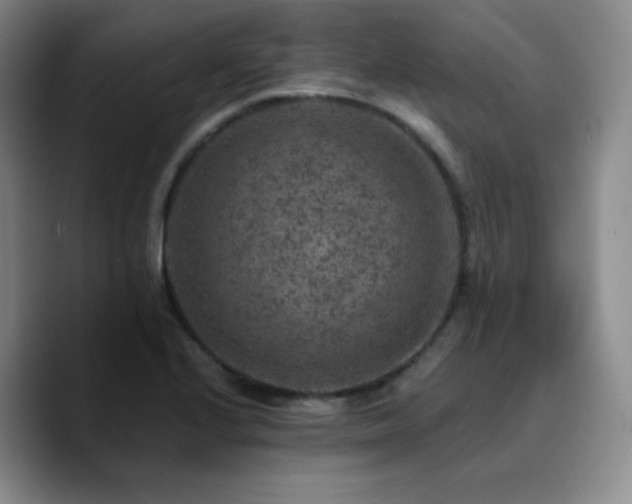 X0000090731224200707201402