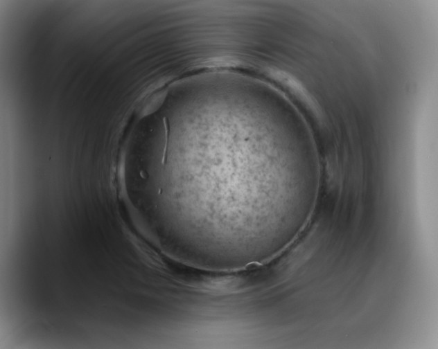 X0000090731225200707201402