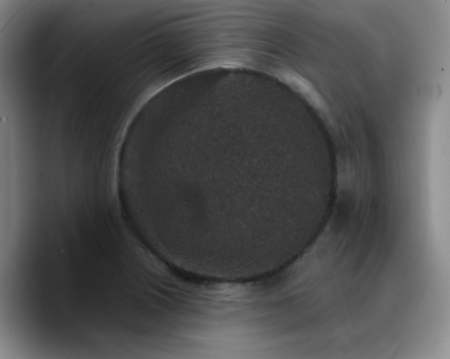 X0000090731226200707201402