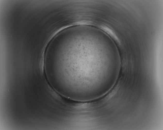 X0000090731228200707201402