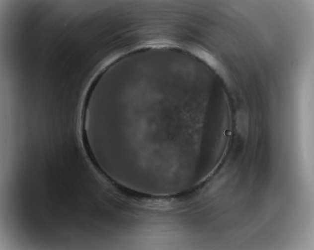 X0000090731229200707201402